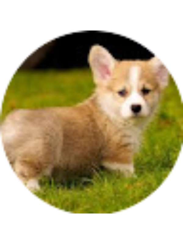 Photo of Isabella Back