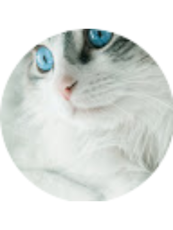 Photo of Zeynep Doğan