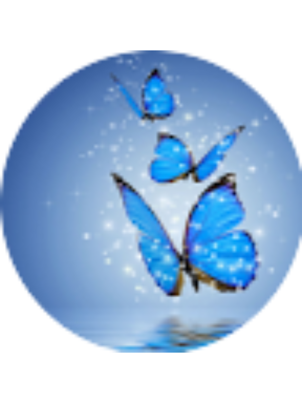 Photo of Anushga Sutharsa