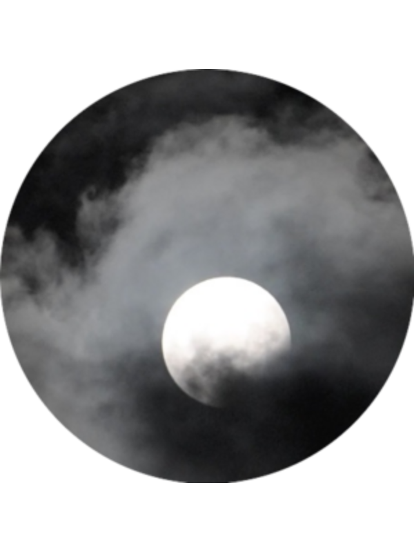 Photo of Alex Bradshaw