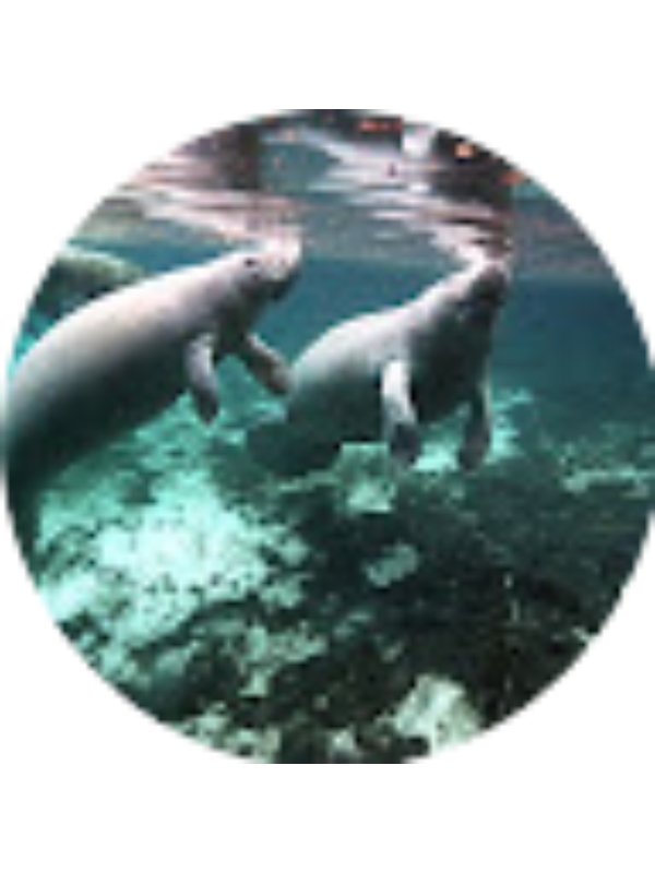 Photo of Kezia Markusson