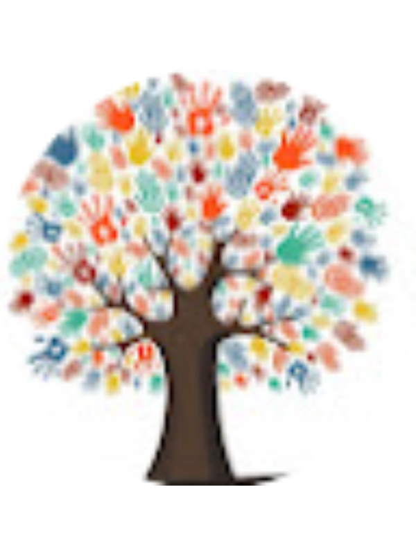 Photo of Soraia Padr&atilde;o