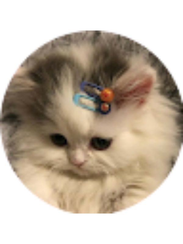 Photo of Анастасия ._.