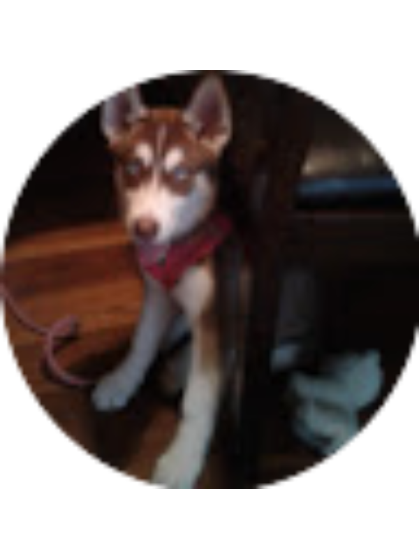 Photo of Jacqueline Alonso