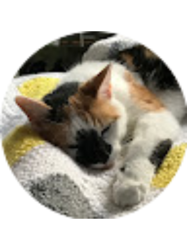 Photo of Cecilia Clarke