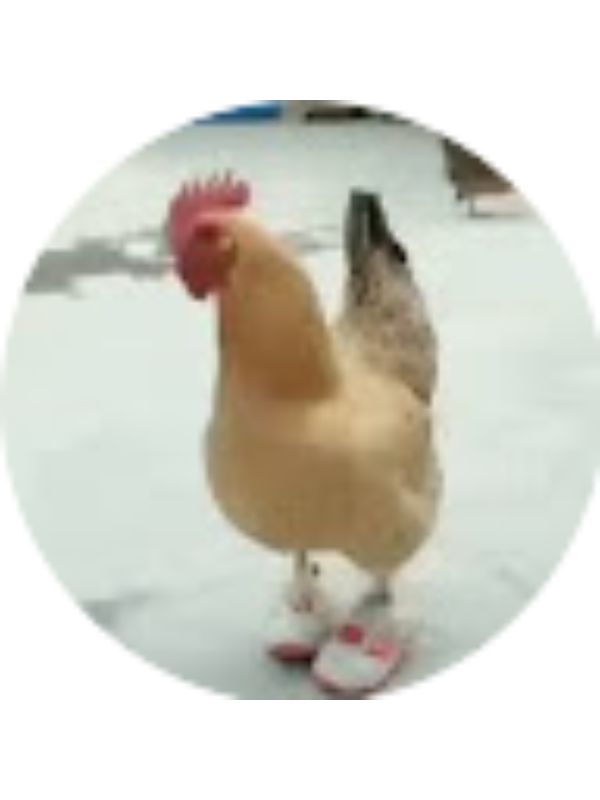 Photo of Ryleigh Ewoldt