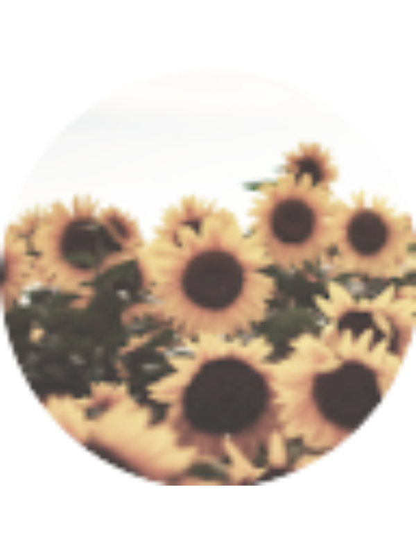 Photo of ERICA RAWIZZA