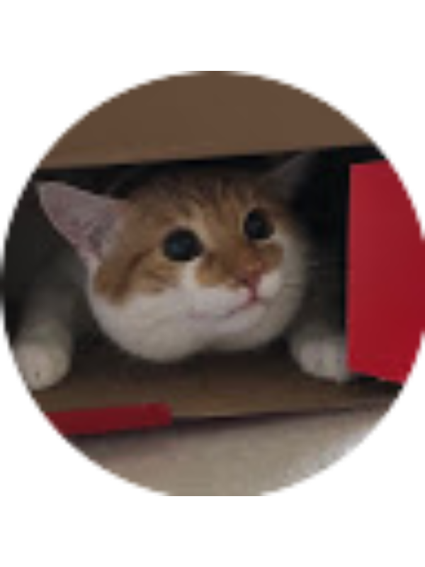 Photo of Nuray Toksoy