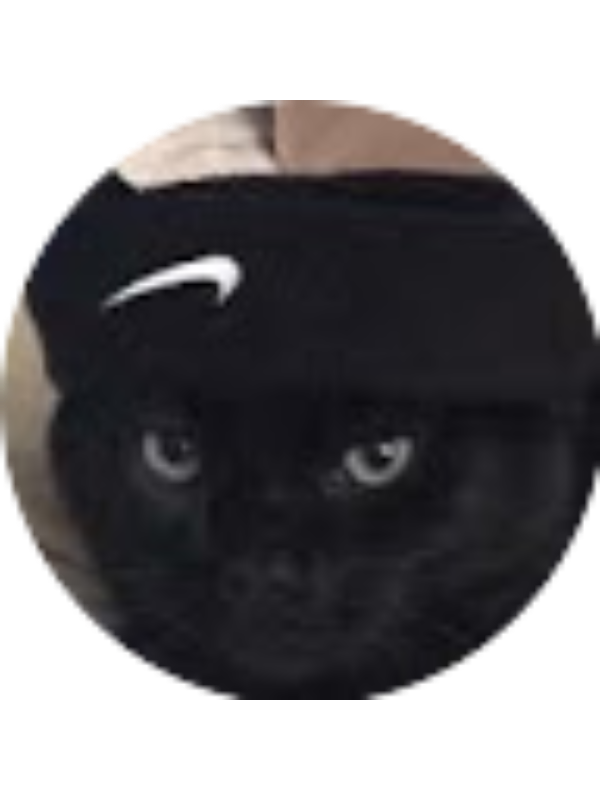 Photo of gulinakufuk