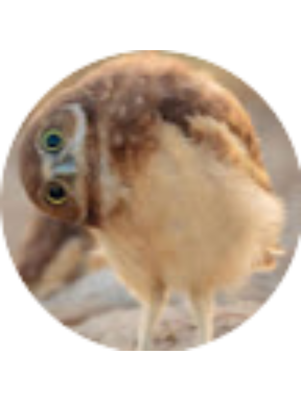 Photo of Esin Balkıs