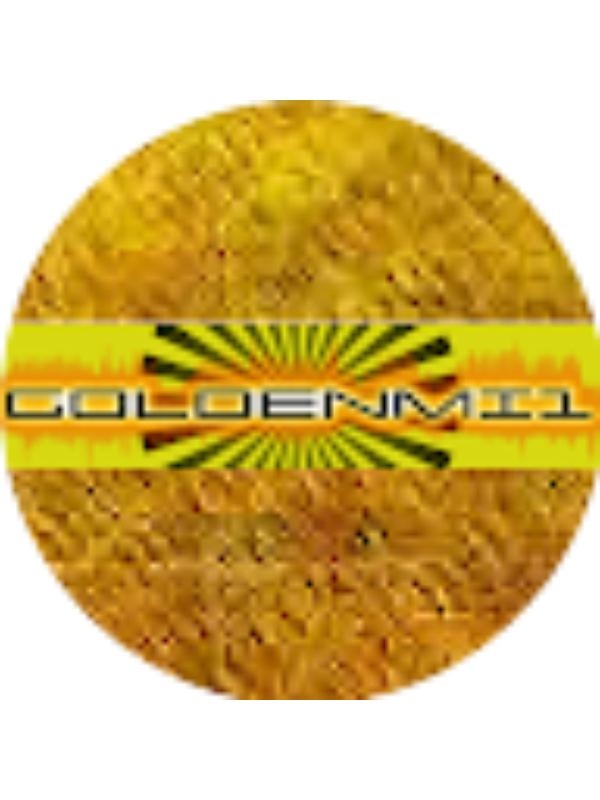 Photo of Lucas Castro