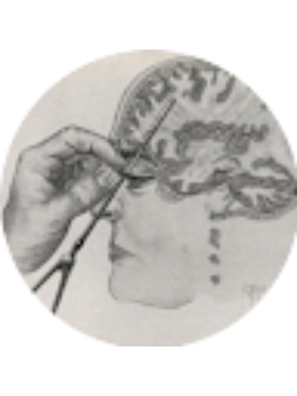 Photo of Alan Farid Pantoja Rodr&iacute;guez