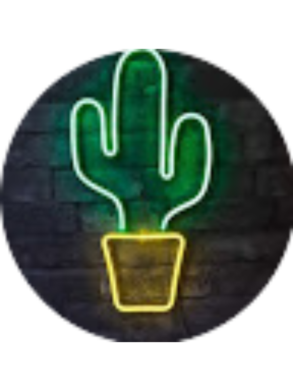 Photo of Kaktus Menas