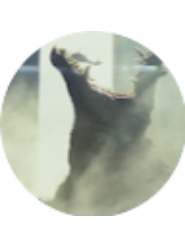 Photo of Samuel Calder&oacute;n S&aacute;nchez