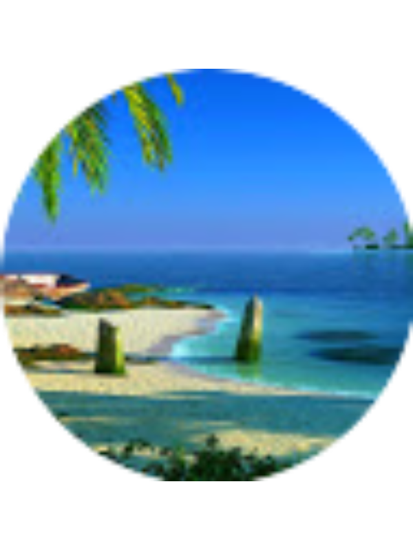 Photo of Nikos Flessas