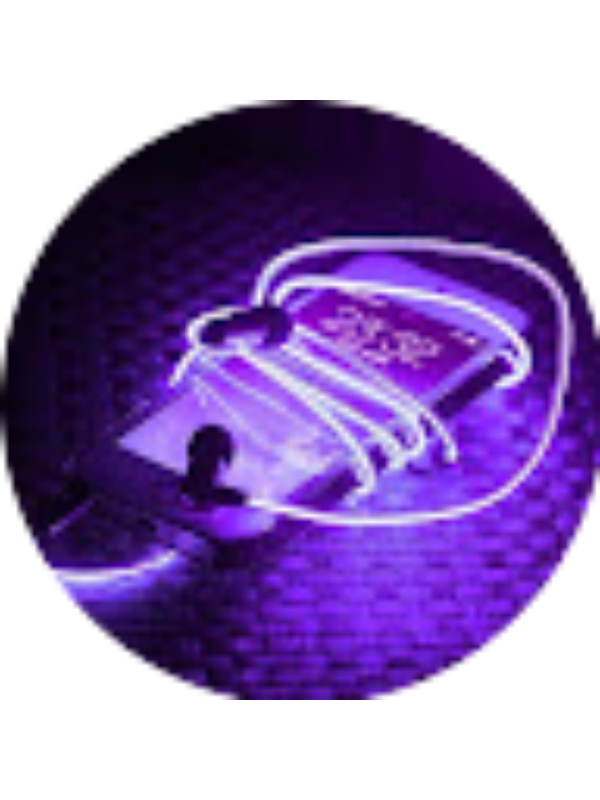 Photo of Mahishaa Ragulenthiran