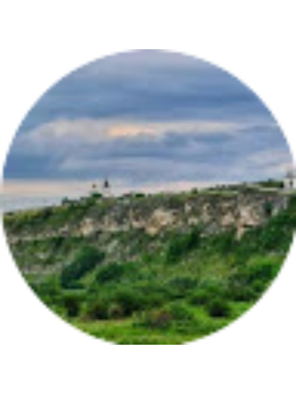 Photo of Adelina Litcan