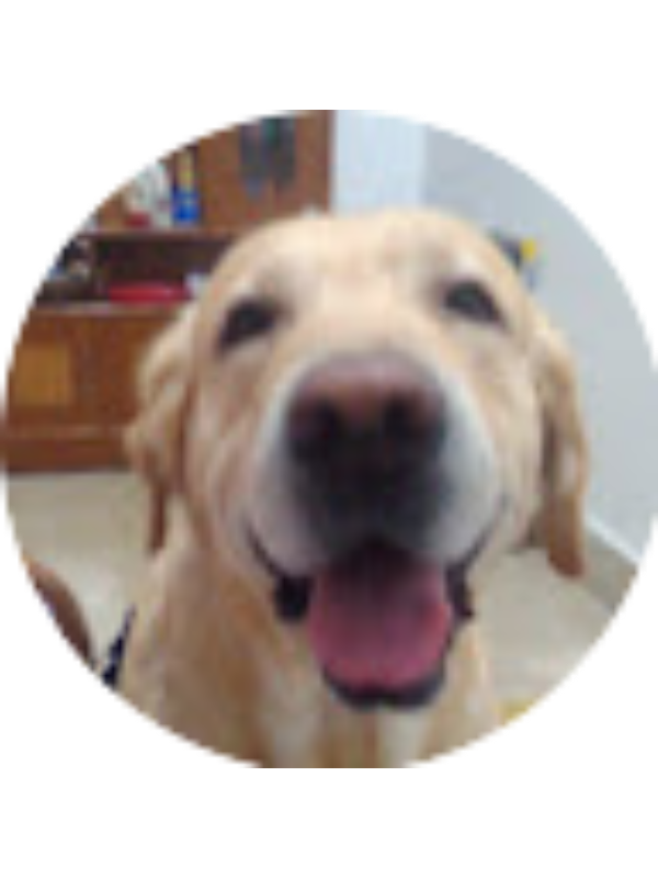 Photo of Radhika Singh