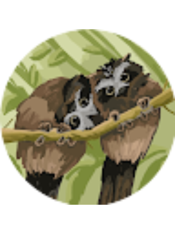 Photo of Allyn Anastasya