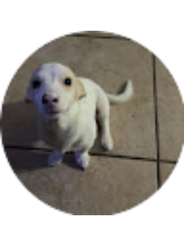 Photo of Alexis Armenta