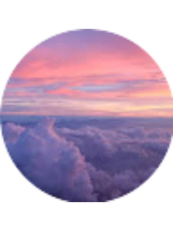 Photo of Ping Williams