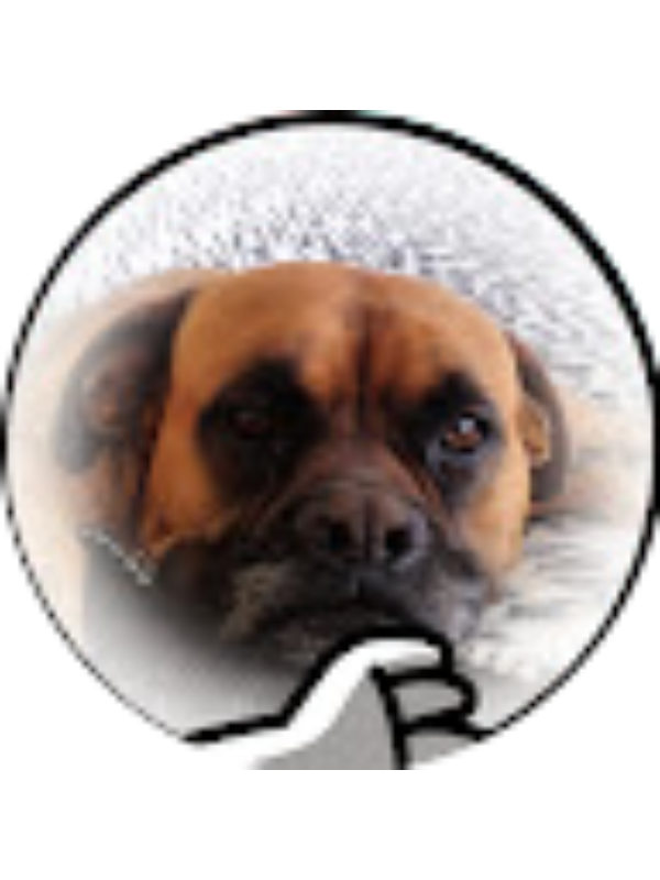 Photo of Ivan Ribalta Mansergas