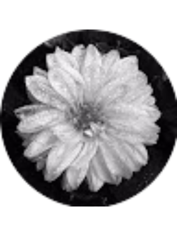 Photo of Lily Trombley