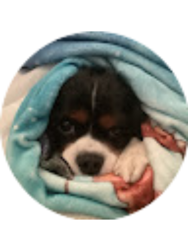 Photo of Madison Butters