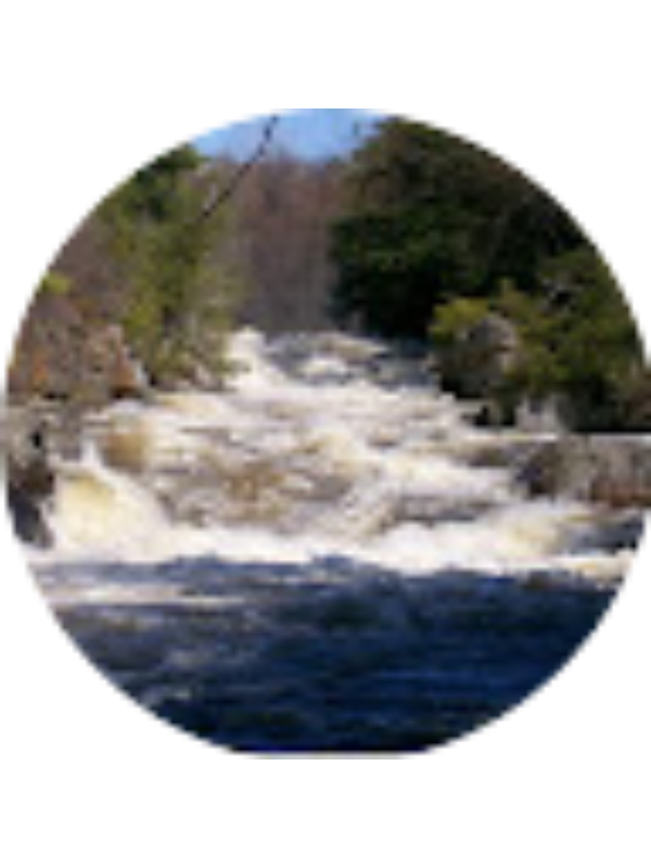 Photo of Aaliyah Hunter