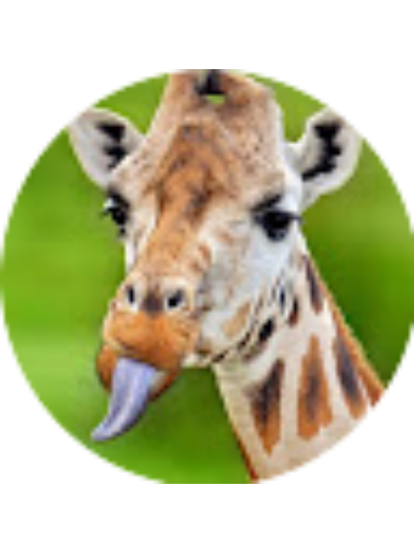 Photo of Emilia Alvarado