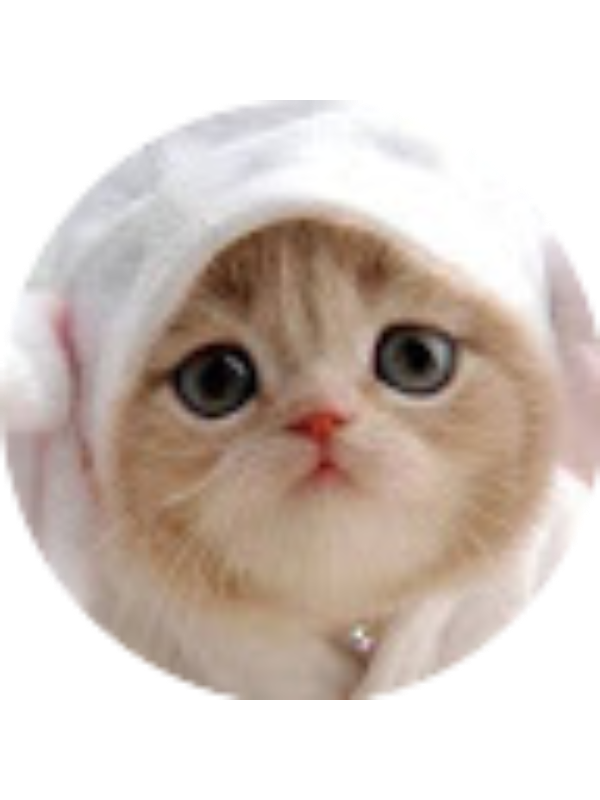 Photo of Wendy LIN-JACKSON