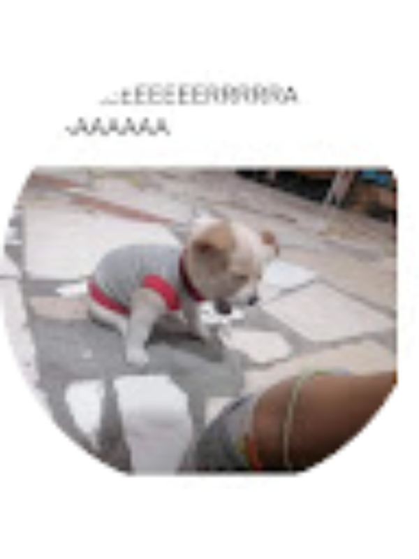 Photo of Yupii Happy