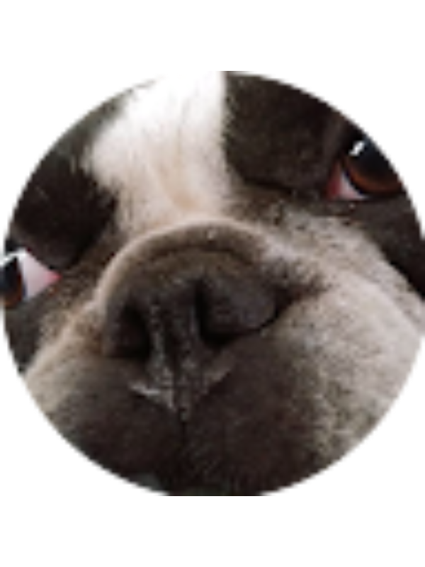 Photo of GIANNA PAGANO