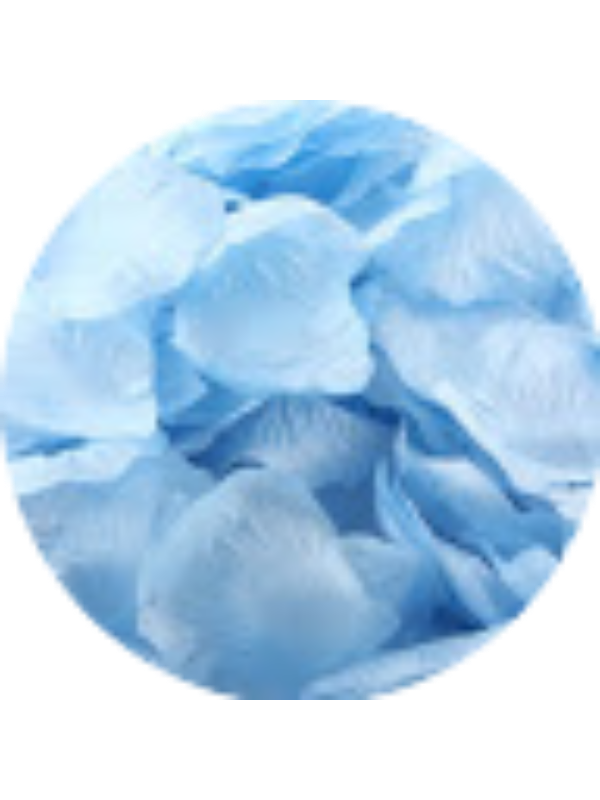 Photo of Kendall Krueger