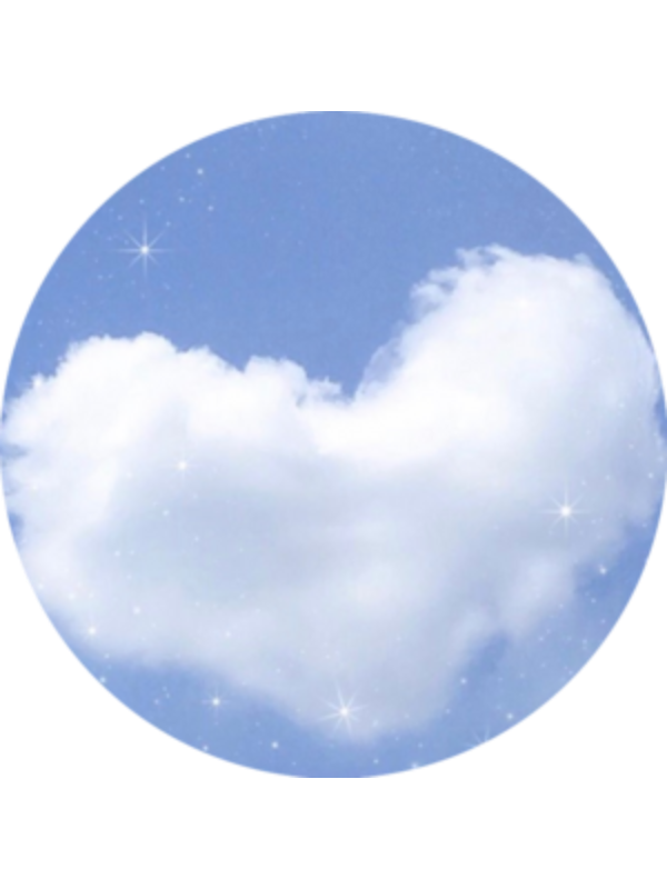 Photo of Elaine Sanchez