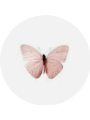Picture of Fatima Mohmmed