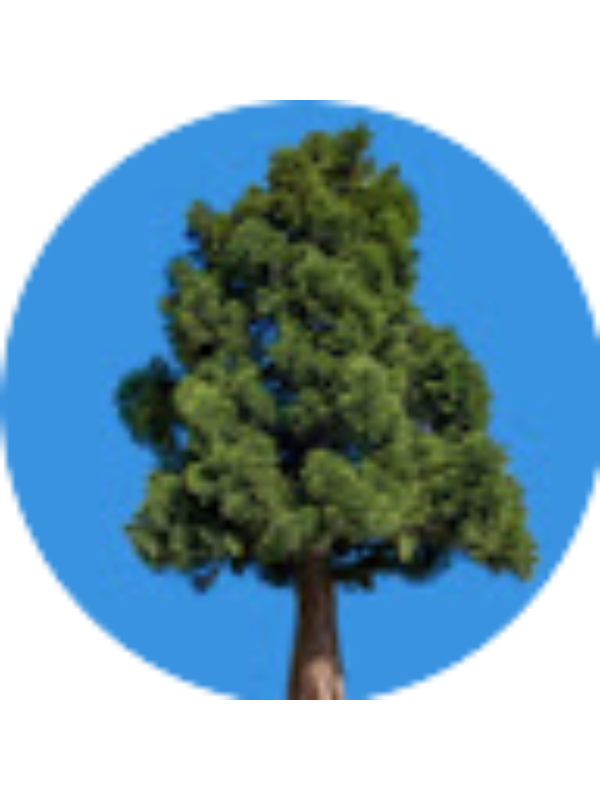 Photo of Morgan Harper