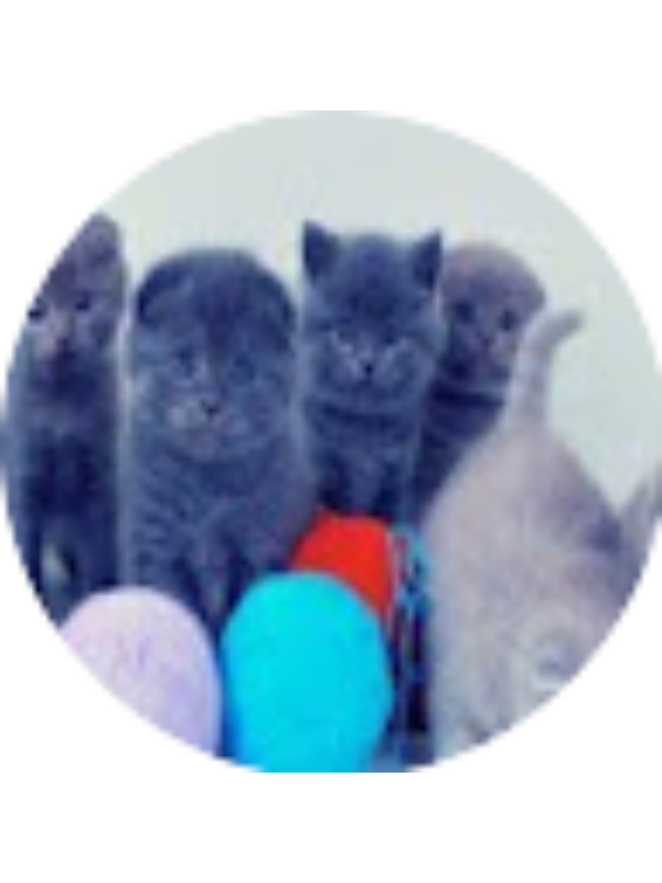 Photo of SOLEDAD PASCUAL GUIJARRO