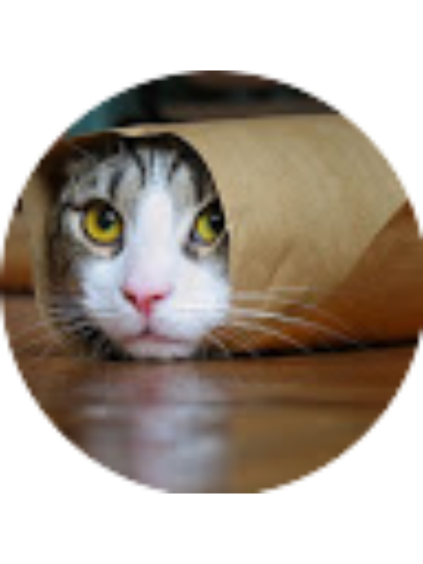 Photo of Trevor Weiner