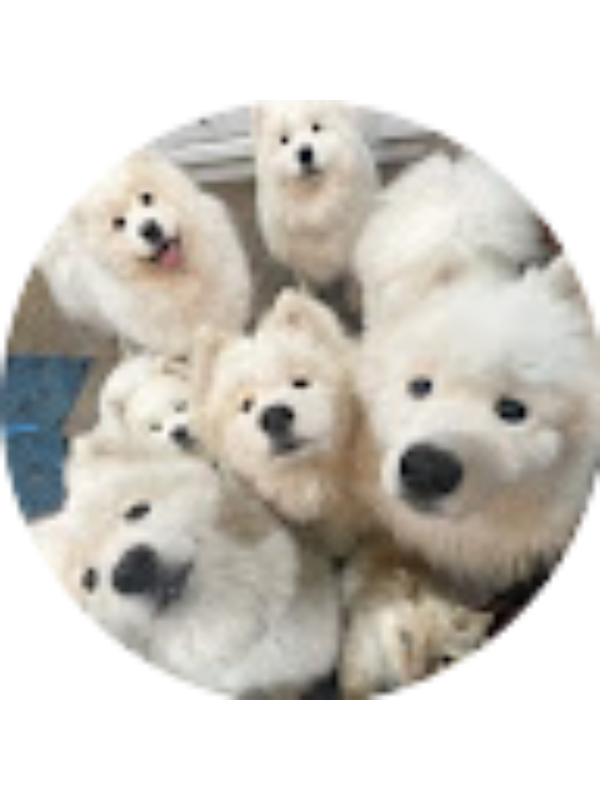 Photo of KIMBERLYE RIVASCARBALLO