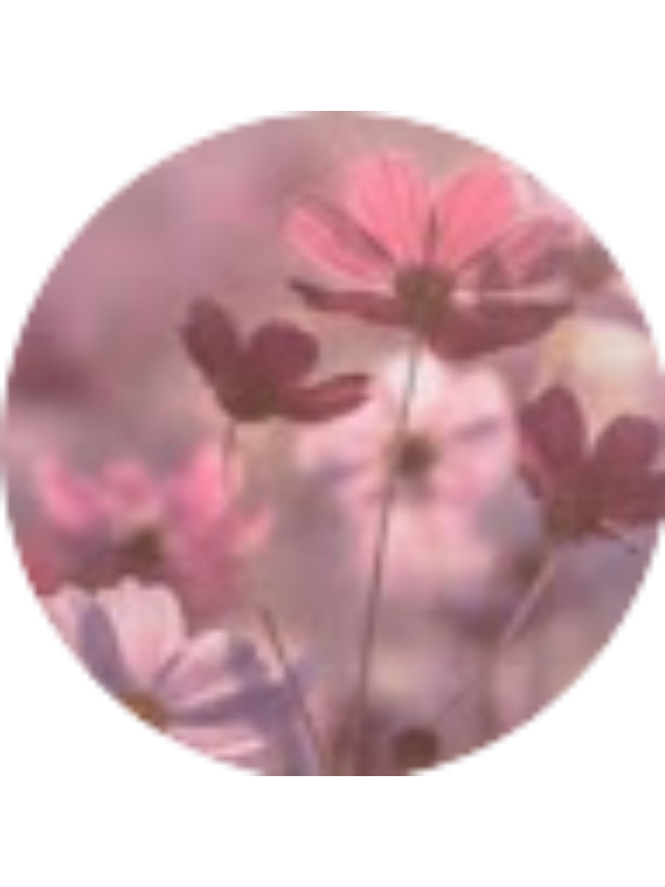 Photo of Madeline Pineda