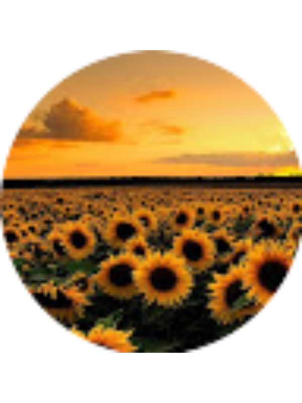 Photo of 21Maggie Middleton