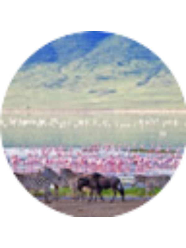 Photo of Anthony Utterback