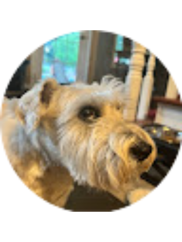 Photo of Sophia Buechner