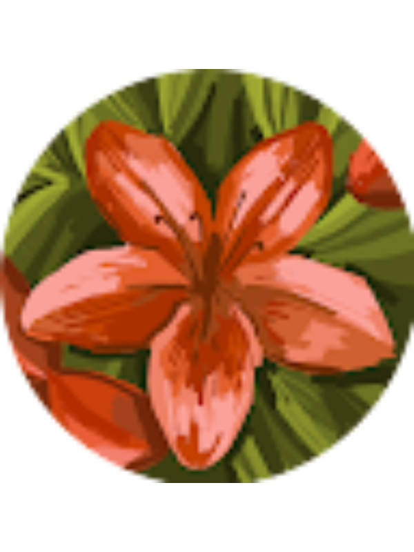 Photo of Emily Ledingham