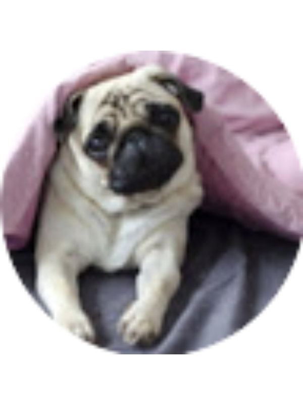 Photo of Ariana Quispe Leyva