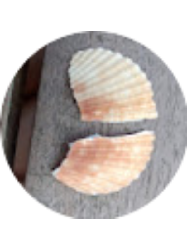 Photo of Saejung Chang