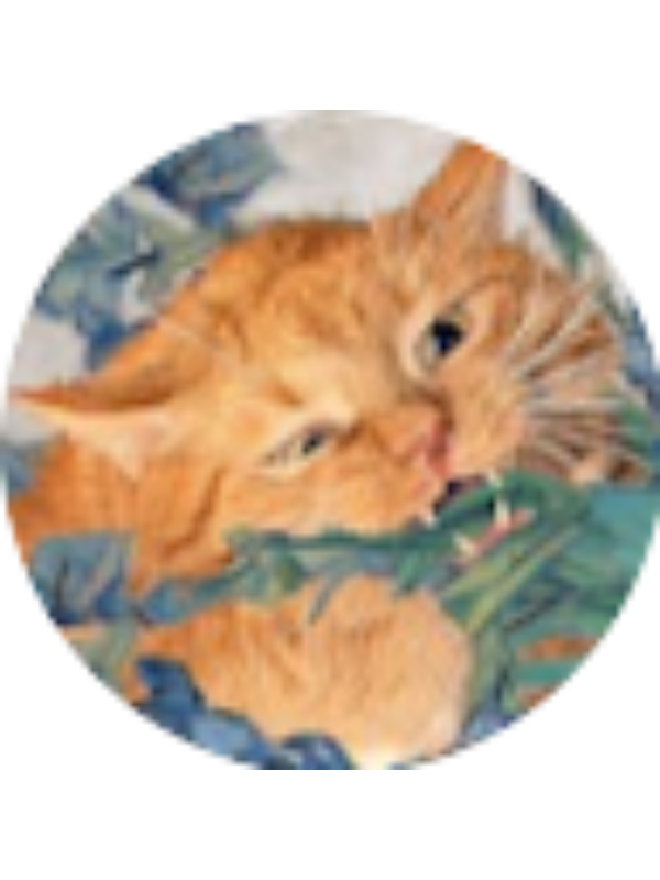 Photo of Amaris Torres