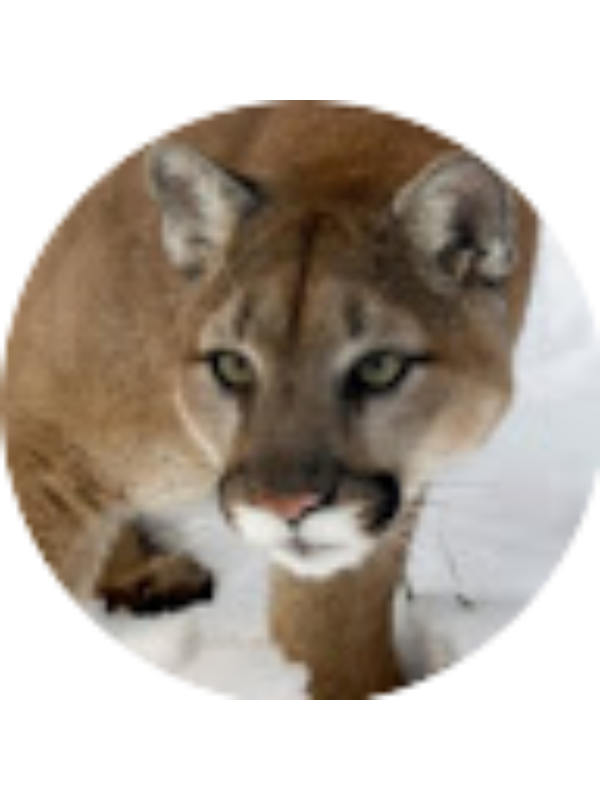 Photo of Paulo Rodrigues