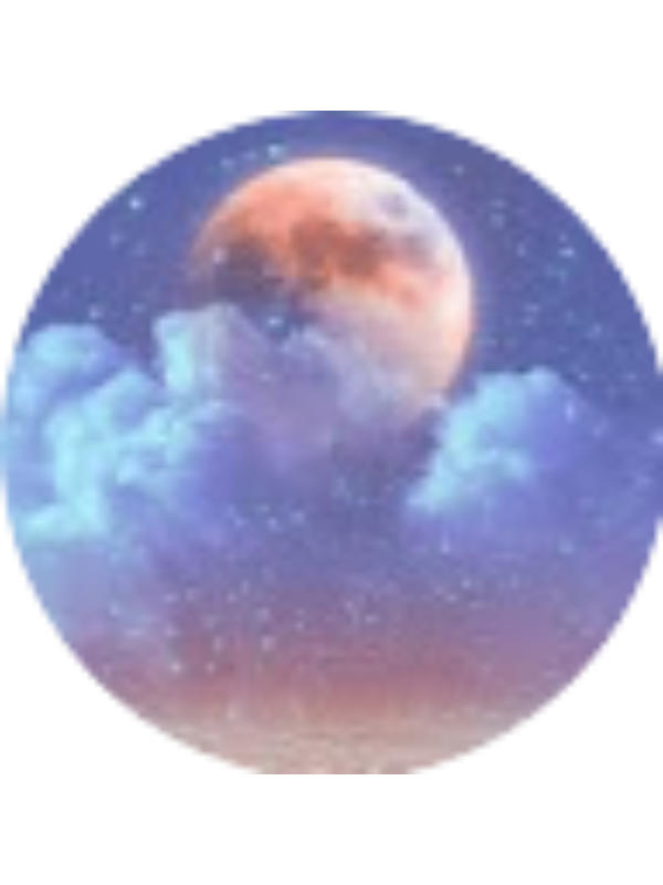 Photo of Alisson Salome Veloz Bonilla